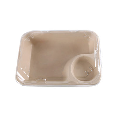 Biodegradable Bagasse Food Container with Sauce Cup for Take Away