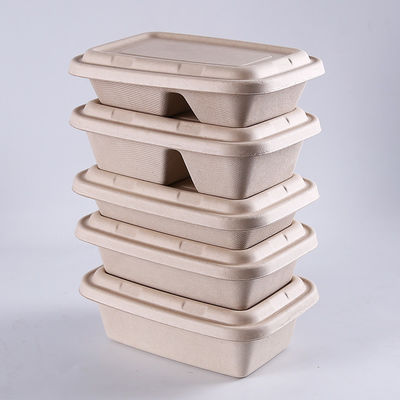 100% Biodegradable Compostable Compartment Sugarcane Bagasse Fruit Tray