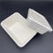 Sanitary Rectangular Biodegradable Takeaway Containers