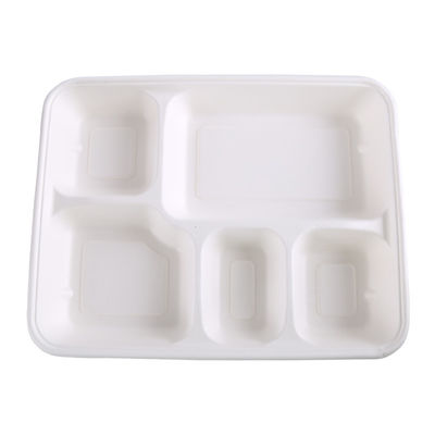 SGS Biodegradable  Lunch Tray