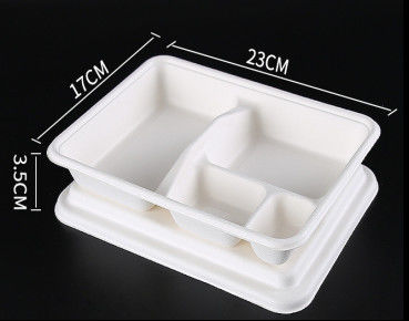 Sustainable Biodegradable Bagasse Food Containers