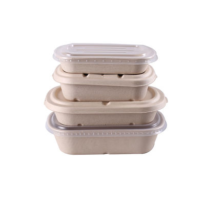 100% Compostable SGS Greaseproof Pulp Food Containers