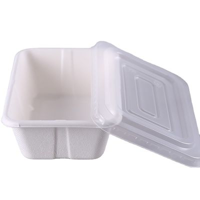 500ml Biodegradable Microwavable  Bagasse Food Containers With Clear Lid
