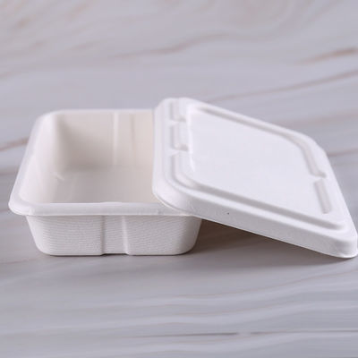9&quot;X9&quot; Lunch Food Camping Natural Bagasse Boxes Chemical Free