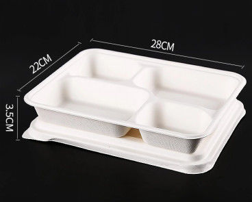 Recycle Disposable 28cm Biodegradable Lunch Trays