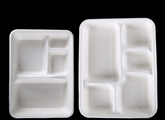 Rectangular Disposable Harmless Bio Takeaway Containers