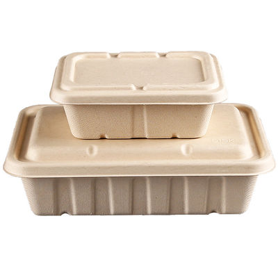 Desechable Microwavable Sugarcane Disposable Containers