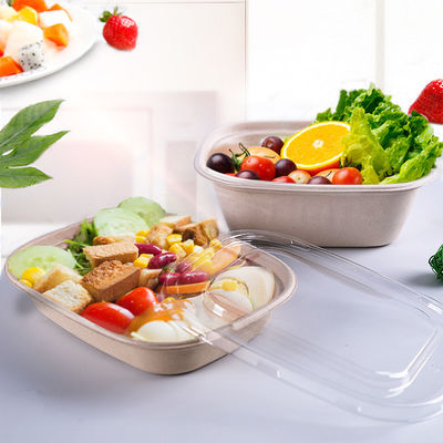 Sugarcane Disposable Takeaway Lunch Box  Biodegradable Food Container