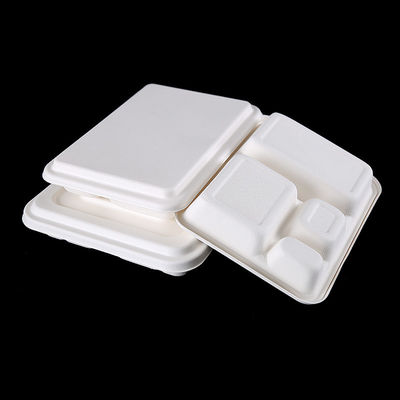 Leakproof Biodegradable Lunch Tray
