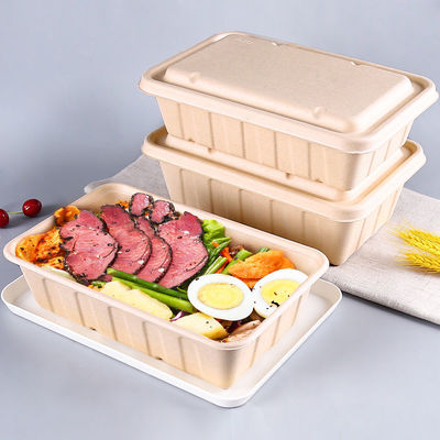 Natural Disposable OEM Bio Takeaway Containers