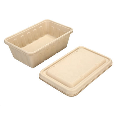 Heavy-Duty Quality To Go Containers Eco-Friendly Made Of Sugar Cane Fibers