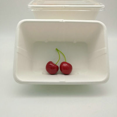 Disposable Biodegradable Microwavable Sugarcane Food Trays