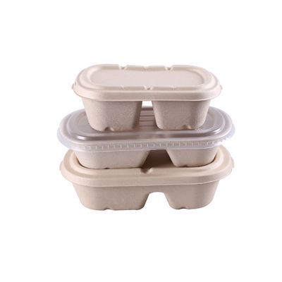 2 Compart Leak Resistance Sugarcane  Restaurant Supply Take Out Containers
