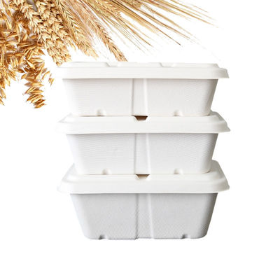 500ml Fast Food Sugarcane  Takeout Pulp Food Containers