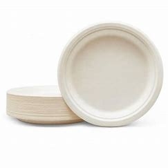 2 Compartment Renewable Paper Sugarcane Disposable Plates For Table Serving