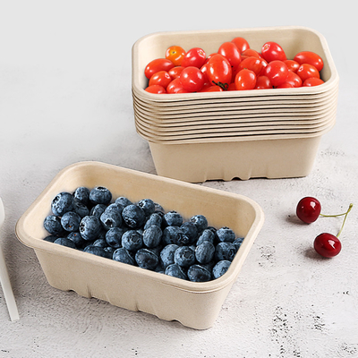 Biodegradable Bagasse Fruit Box with Holes for Party Fruit Store