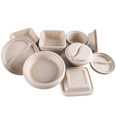 Desechable 480mm Biodegradable Food Containers With Lids