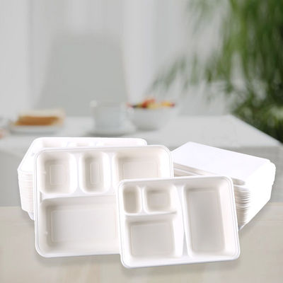 SGS Biodegradable  Lunch Tray