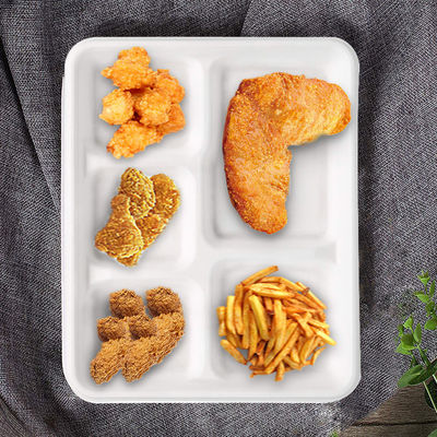 SGS Biodegradable  Lunch Tray