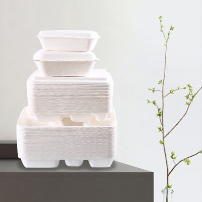 Microwavable Compostable Bagasse Food Containers for Take out