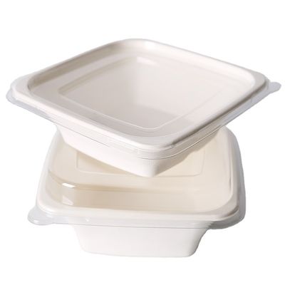 OEM Sustainable Takeout 24oz Pulp Food Containers