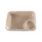 Biodegradable Bagasse Food Container with Sauce Cup for Take Away