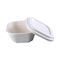 Square Sugarcane Compostable 600ml Pulp Food Containers