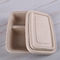1000ml Compostable Two Compartment Pulp Food Containers