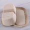 Takeout With 2 Compartments SGS Compostable Food Containers