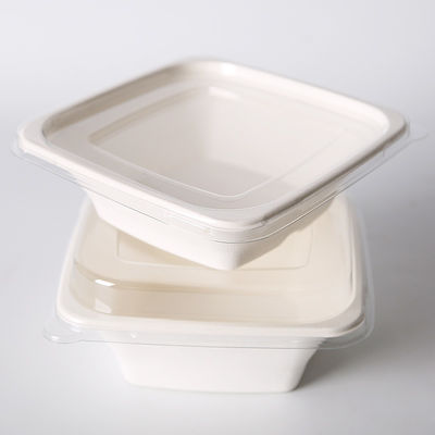 Sugarcane Disposable Takeaway Lunch Box  Biodegradable Food Container