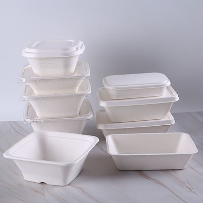 Disposable ODM oillproof Environmentally Friendly Disposable Plates