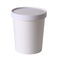 Disposable White Kraft Paper Soup Cups with Lid for Takeaway
