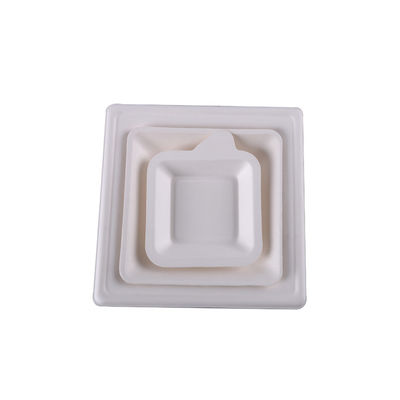 Biodegradable Sustainable SGS Sugarcane Pulp Plates