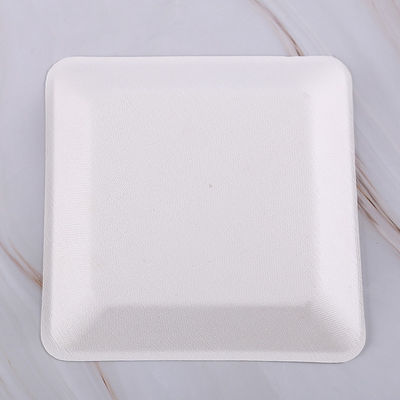 Disposable Party Bagasse SGS Sugarcane Pulp Plates