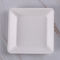 Biodegradable Square Sugarcane Bagasse Paper Plates 4 Inch Microwavable