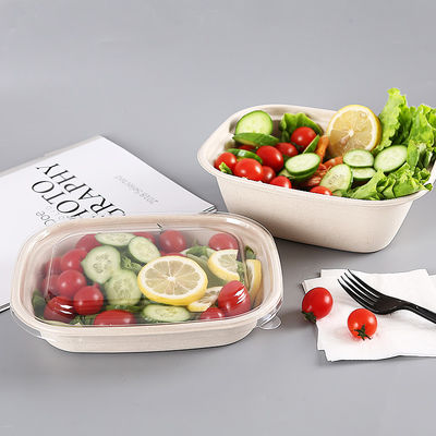 Bagasse Rectangle 750ml Pulp Food Containers With Lid