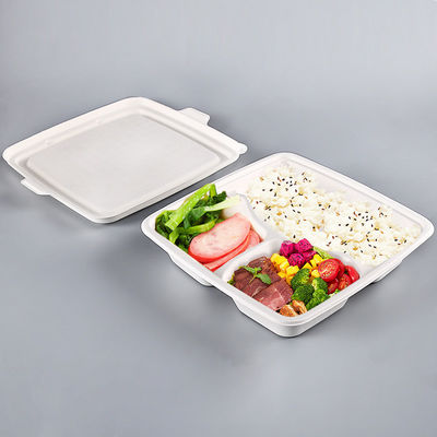 Greaseproof ODM Biodegradable Sugarcane Pulp Plates