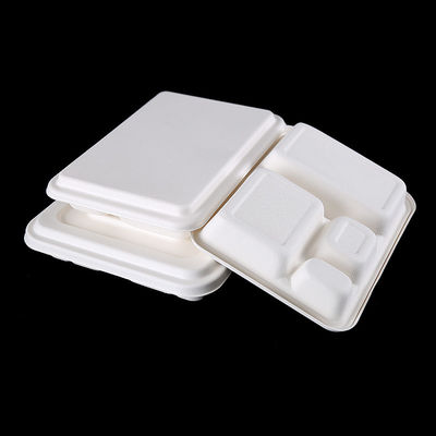 Eco Friendly Lunch 4 Compartment Sugarcane Compostable Plates