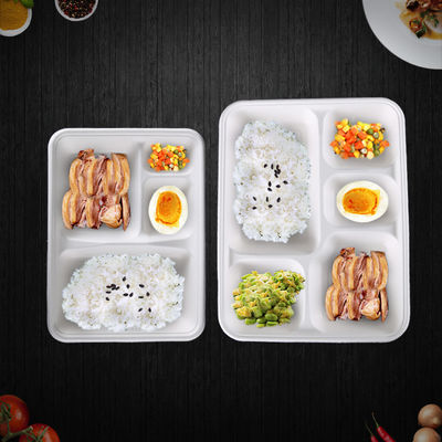 Eco Friendly Lunch 4 Compartment Sugarcane Compostable Plates