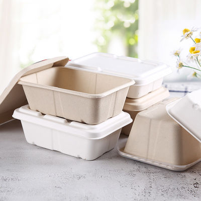 Beverage Bagasse Takeaway Biodegradable Lunch Box