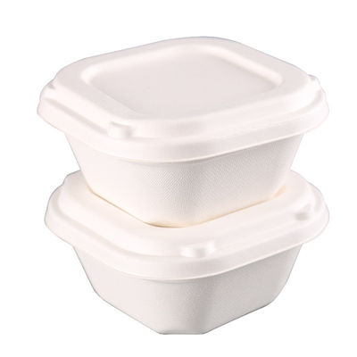 Sustainable Bagasse Food Containers