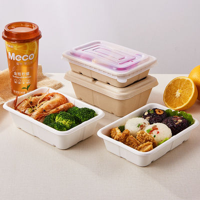 Beverage Bagasse Takeaway Biodegradable Lunch Box