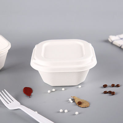 Sustainable Bagasse Food Containers