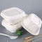 Sustainable Bagasse Food Containers