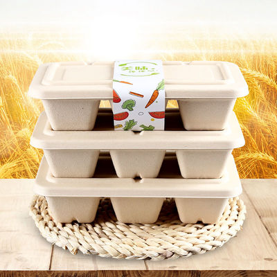 Biodegradable 3 Compartment Wheat Straw Box with Lid for Take out