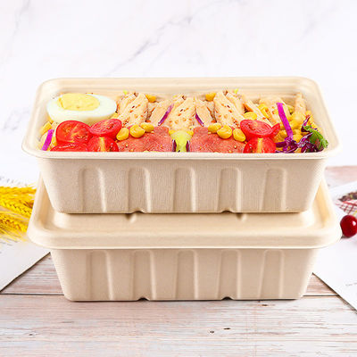 Leakproof Microwavable Biodegradable Take Out Boxes