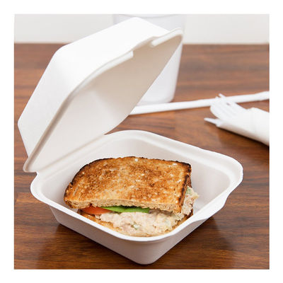 Hamburger Waterproof Biodegradable Takeaway Boxes