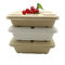 Eco Friendly 500ml Sugarcane Takeaway Containers For Restaurant
