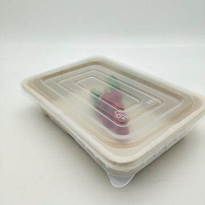 Disposable Biodegradable Microwavable Sugarcane Food Trays