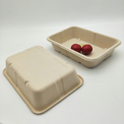 Disposable Biodegradable Microwavable Sugarcane Food Trays